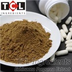 इचिनेशिया पुरपुरिया निकालें