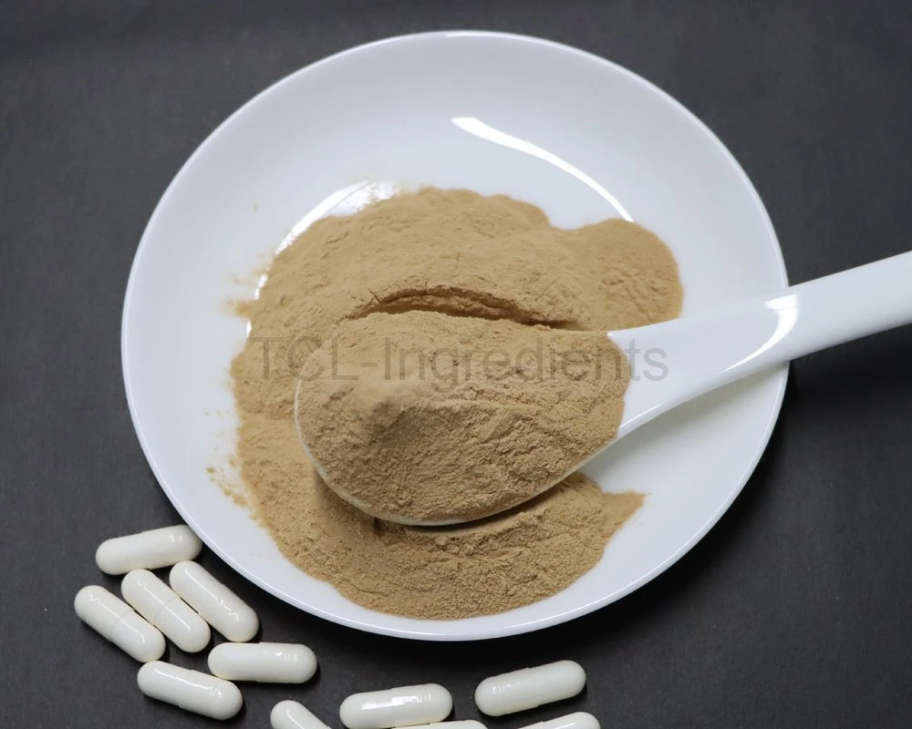 Panax ginseng extract powder high quality