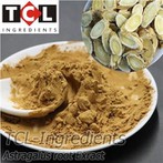 एस्ट्रैगलस रूट एक्सट्रेक्ट पाउडर