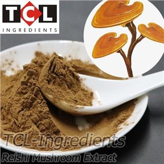 Reishi मशरूम निकालें